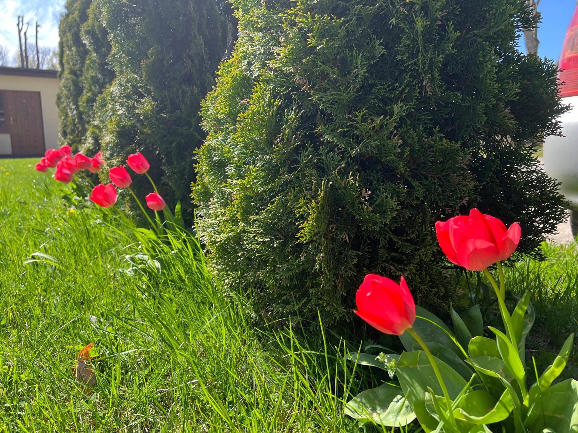 Osrodek Rodzinny "Pod Wydmami" Przy Plazy , Plac Zabaw , Rowery Sarbinowo Exteriér fotografie